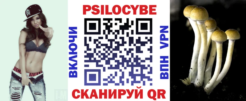 Галлюциногенные грибы мухоморы  где купить наркотик  KRAKEN как войти  Аркадак 